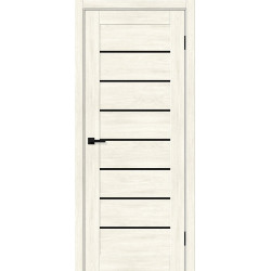Межкомнатная дверь Браво-22 Nordic Oak / Black Shine