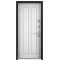 Дверь Torex SNEGIR 55 RAL 8019 —, Белый S55-UC-3
