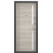 Дверь Torex DELTA-112 Черный шелк DL-2, CT Wood Light Grey DC-2