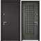 Дверь Torex SNEGIR 60 MP RAL 8019 —, Дуб пепельный TS-1