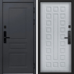 Входная дверь Command doors Cyber lord 01 альберо браш грей